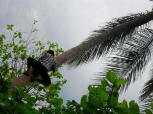 Photo Courtesy of Twosocks