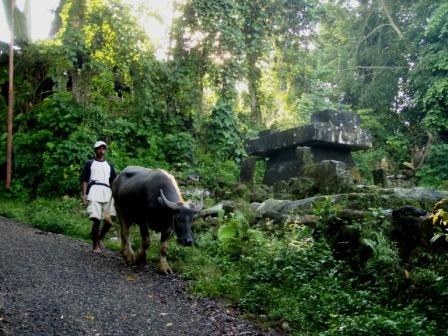 Jalanan desa sumba Jalanan desa sumba