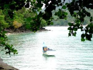 Photo courtesy of Gypsytoes