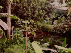 The Creepy Mannequin