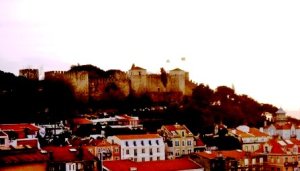 Photo courtesy of Dragan Mihajlovic