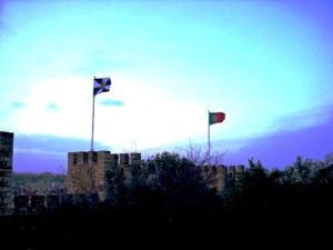 Photo courtesy of Dragan Mihajlovic