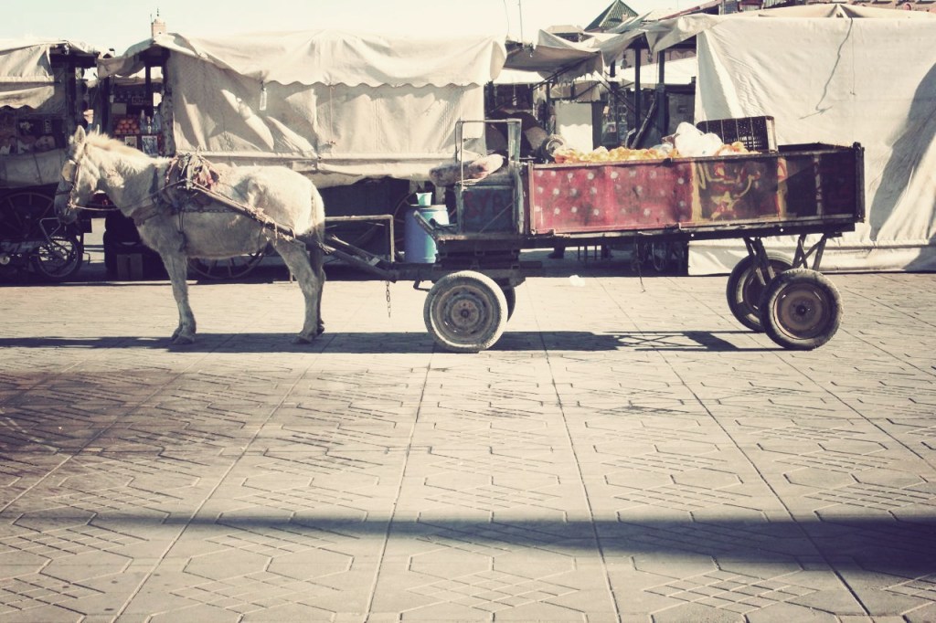 Dusty Sneakers I Ovi I Maroc 6