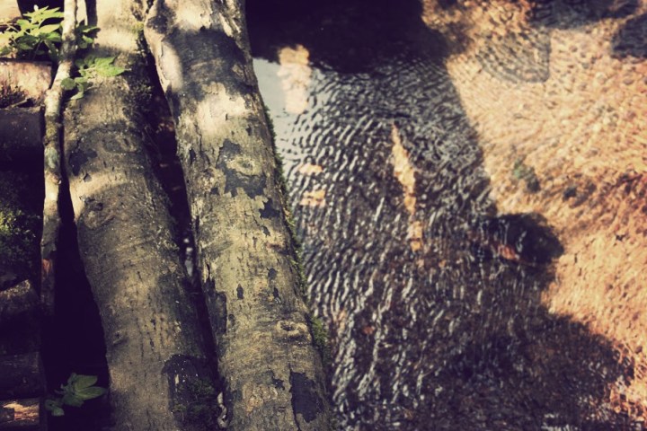 Photo by: Ibnu Najib