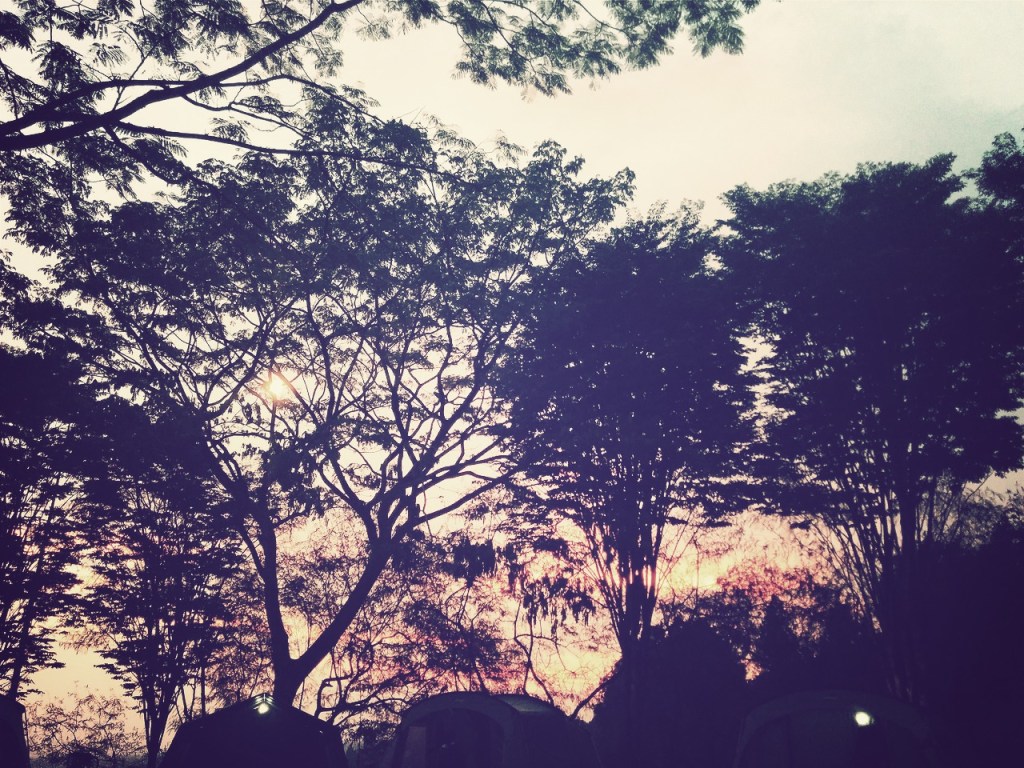 The Dusty Sneakers I Tanakita 8