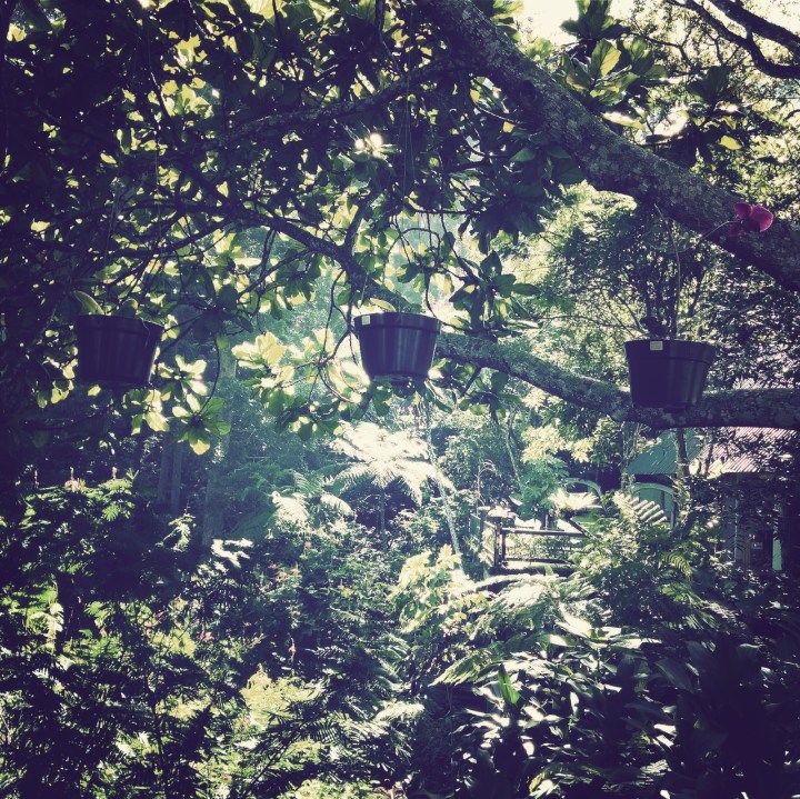 The Dusty Sneakers I Tanakita 2