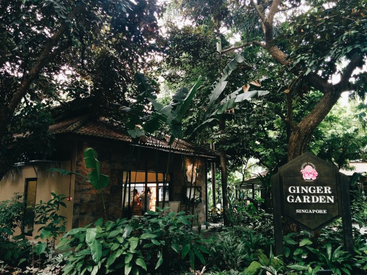 Processed with VSCOcam with a6 preset