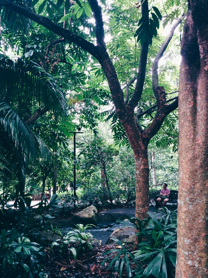 Processed with VSCOcam with hb1 preset