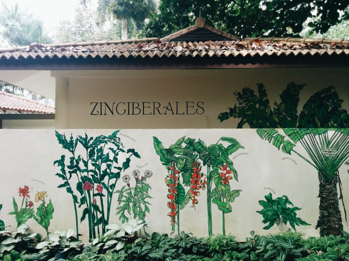 Processed with VSCOcam with a6 preset