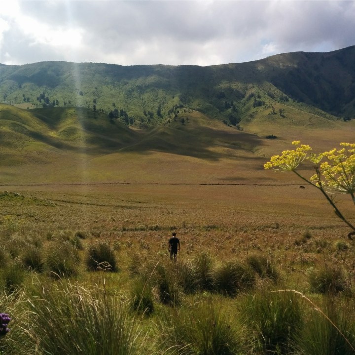 The Dusty Sneakers I Bromo