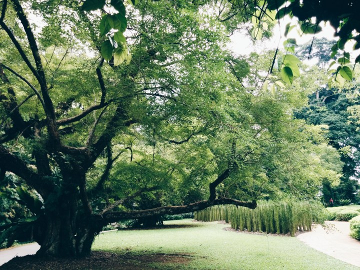 Processed with VSCOcam with hb1 preset