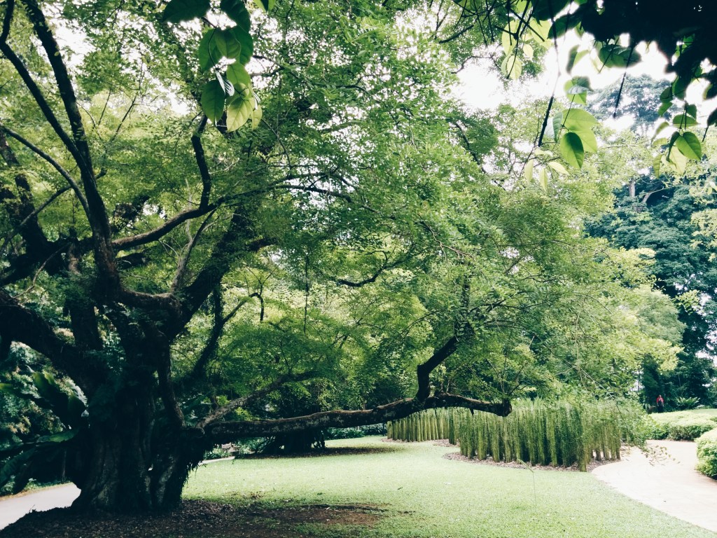 Processed with VSCOcam with hb1 preset