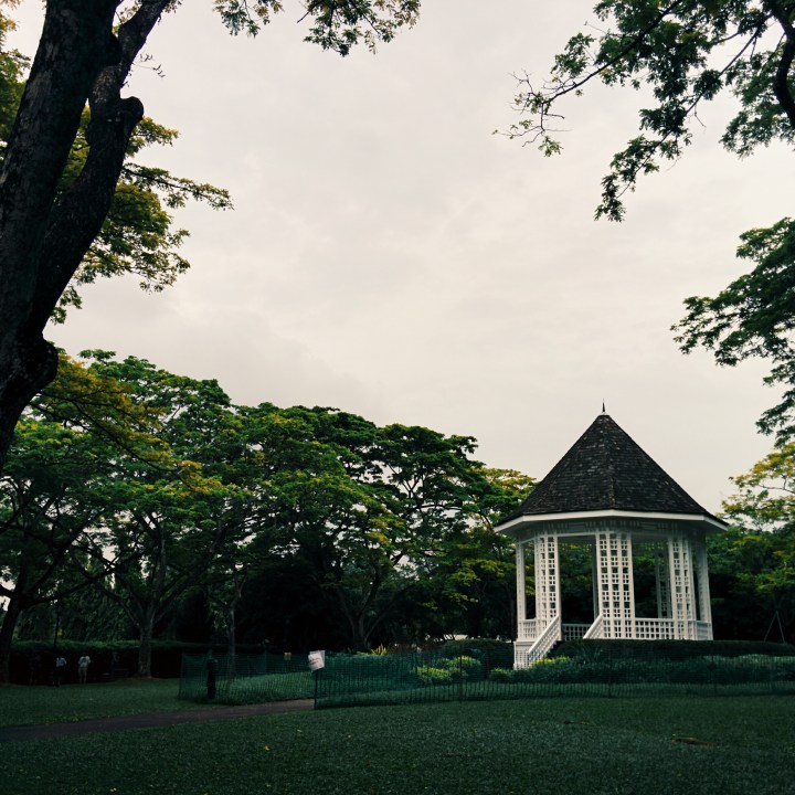 Processed with VSCOcam with g3 preset