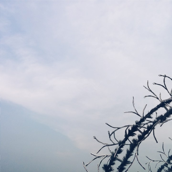 Processed with VSCOcam with a5 preset