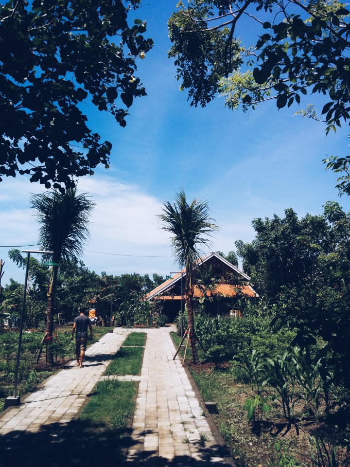 Processed with VSCOcam with a5 preset