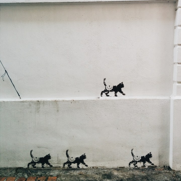 Processed with VSCOcam with a6 preset