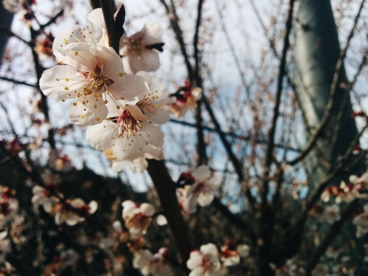 Processed with VSCO with a6 preset