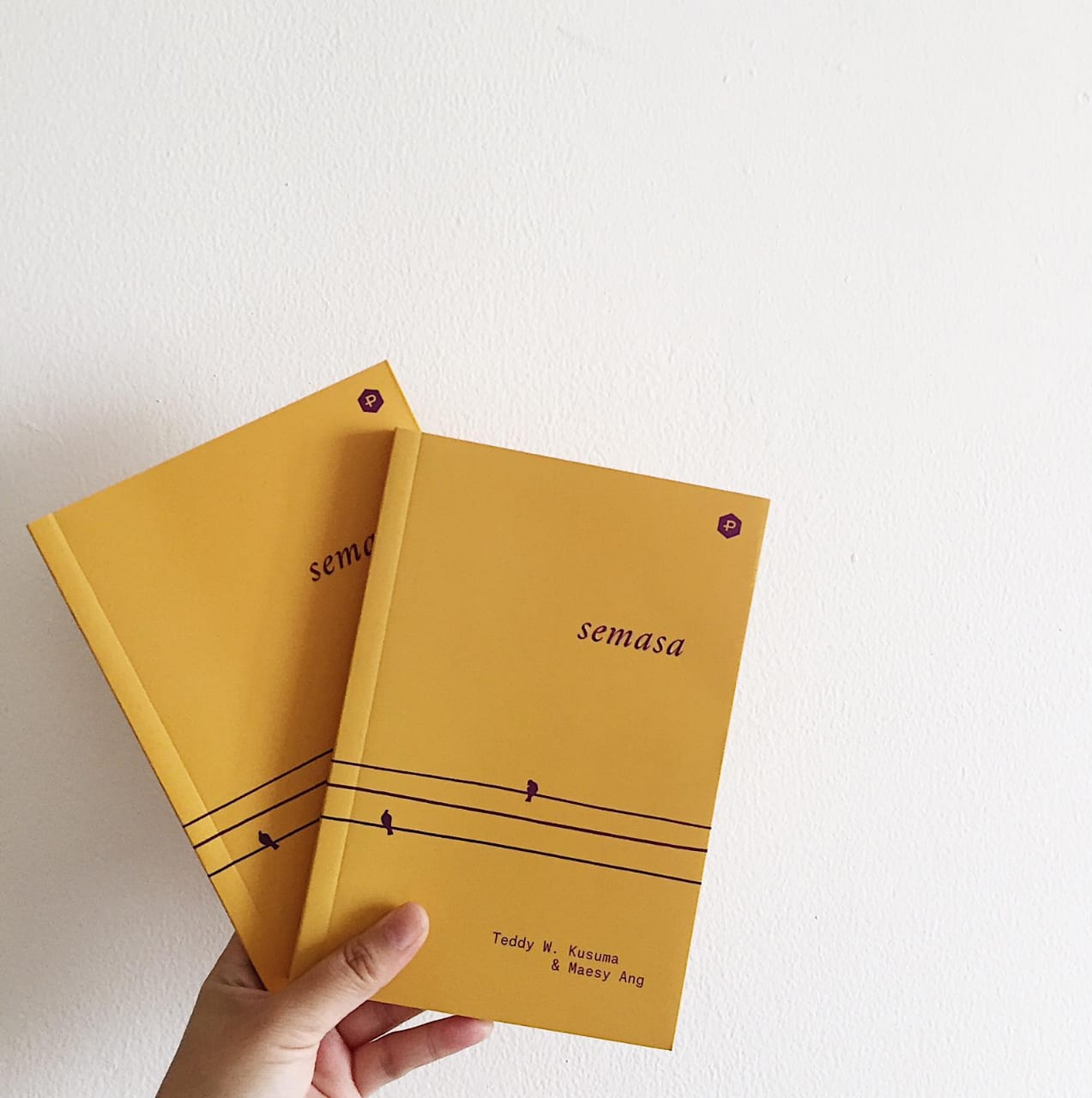 whatsapp image 2019-01-10 at 02.48.15