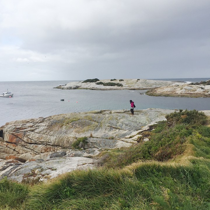 27675789-AD64-4C5A-87CC-F85F4FFBCD9B