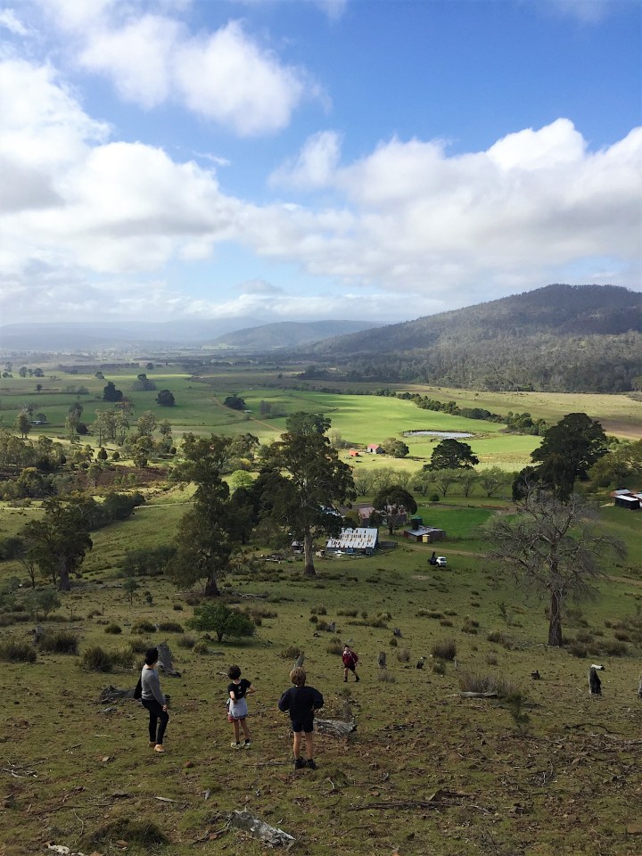 5C900442-8E0A-46F3-B854-6D5C17CEE8E6