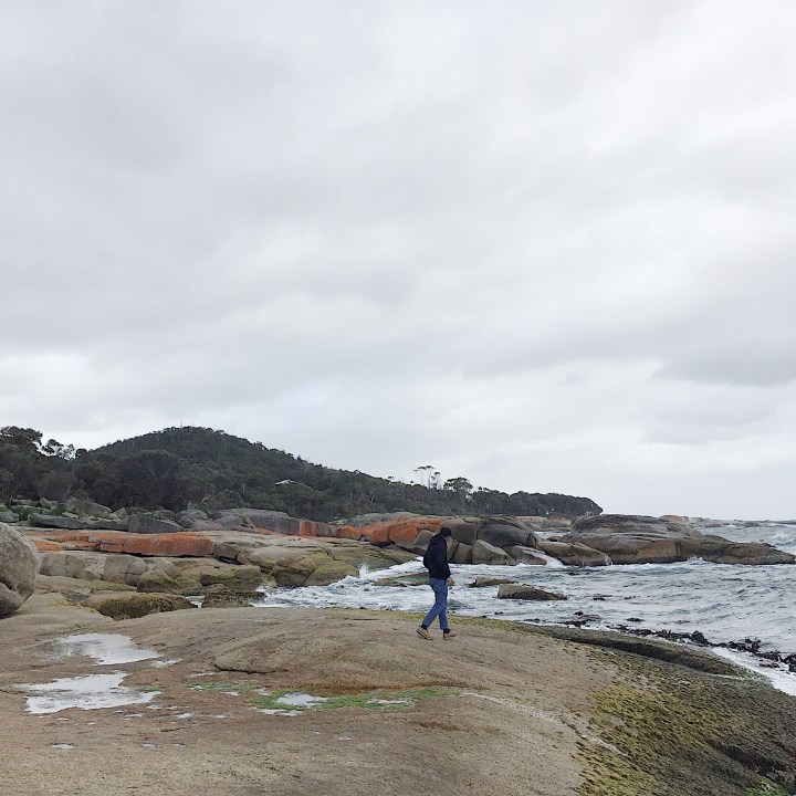 C3A61F1C-9329-47BC-B37F-B52A727118A3