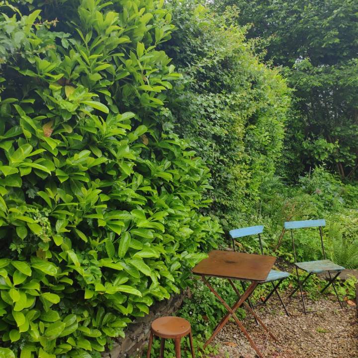 3a2409ed-597f-4641-a0a7-01eafb392de7