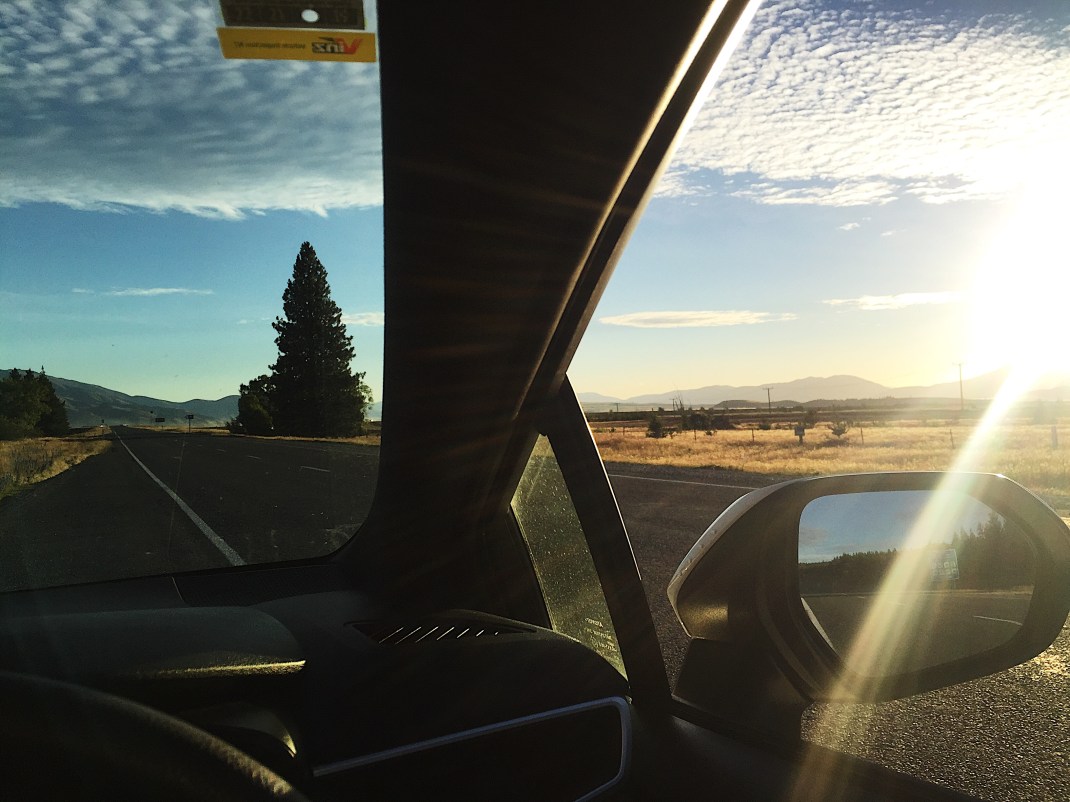 1F05BEB7-49F0-4CAD-923E-5C3EF1F42408