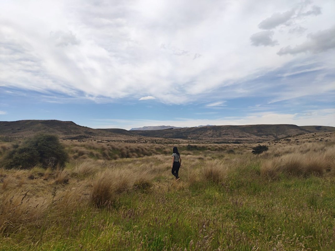 C52FF0C7-090E-4126-A12B-7A6912DEBE91